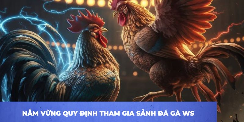 Nắm vững quy định tham gia sảnh đá gà WS 